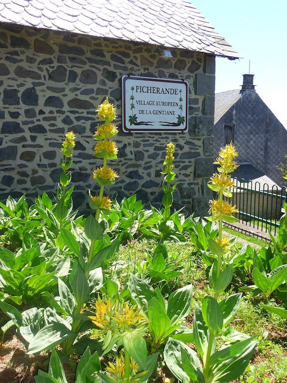 אפרטהוטל Picherande Aux Balcons Du Sancy מראה חיצוני תמונה