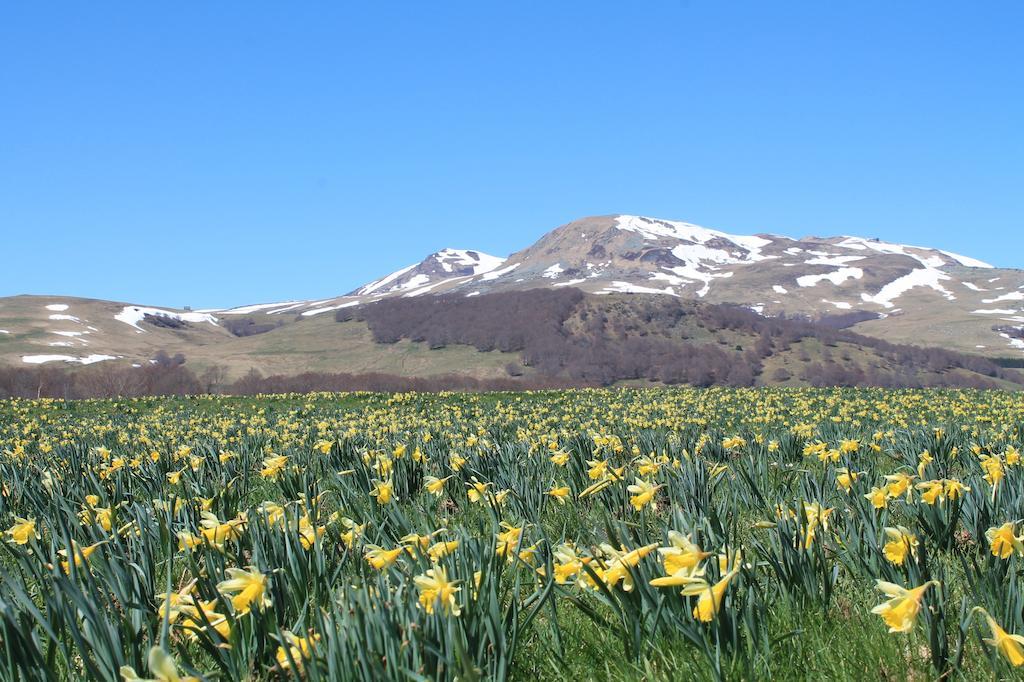 אפרטהוטל Picherande Aux Balcons Du Sancy מראה חיצוני תמונה